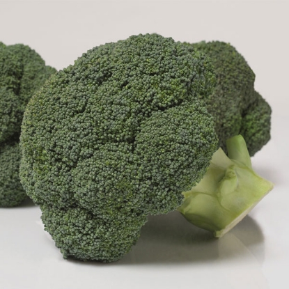 Picture of Organic Calabrese Covina F1